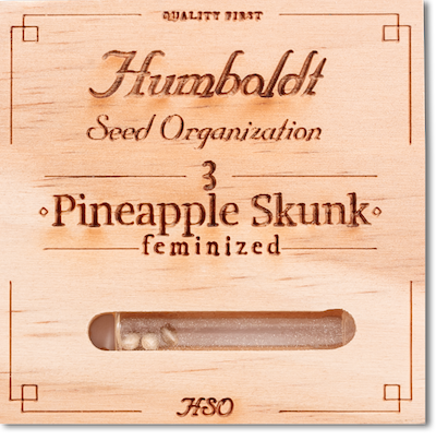 Семена конопли Pineapple Skunk