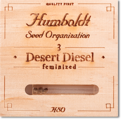 Семена конопли Desert Diesel