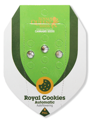 Семена конопли Royal Cookies Auto