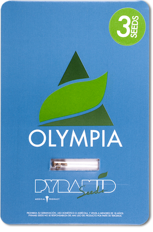 Семена конопли Olympia