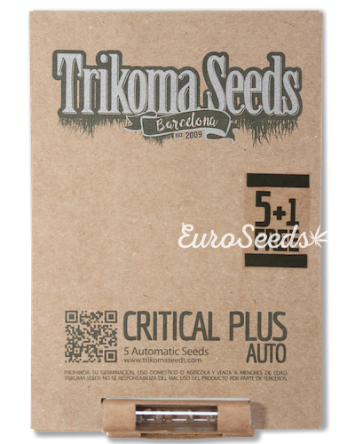Семена конопли Critical Plus Auto (Trk)