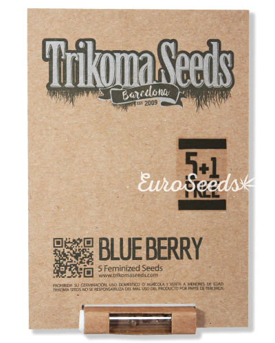 Семена конопли Blueberry (Trk)