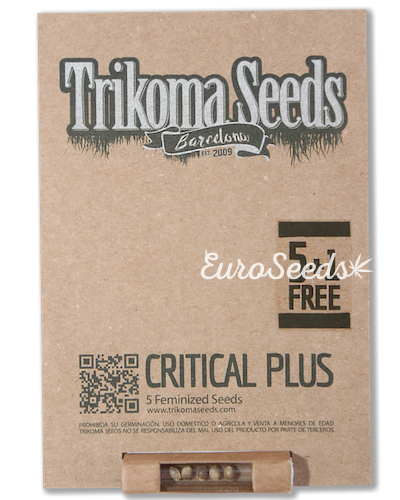 Семена конопли Critical Plus (Trk)