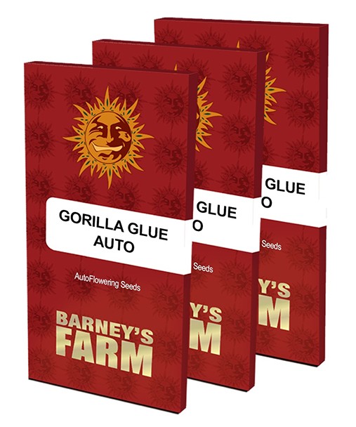 Семена конопли Gorilla Glue Auto (Barney’s)