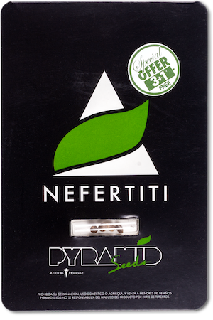 Семена конопли Nefertiti