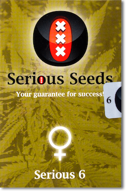 Семена конопли Serious 6